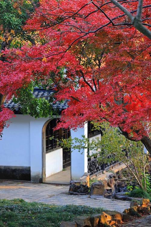 无锡秋天哪个景点好玩