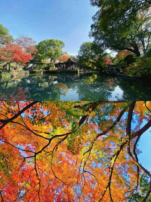 无锡秋天哪个景点好玩