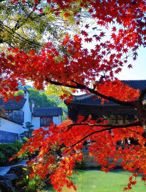 无锡秋天哪个景点好玩