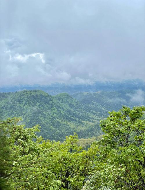 黄陵森林公园必玩景点