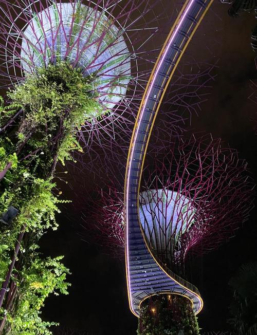 新加坡摩天轮附近景点