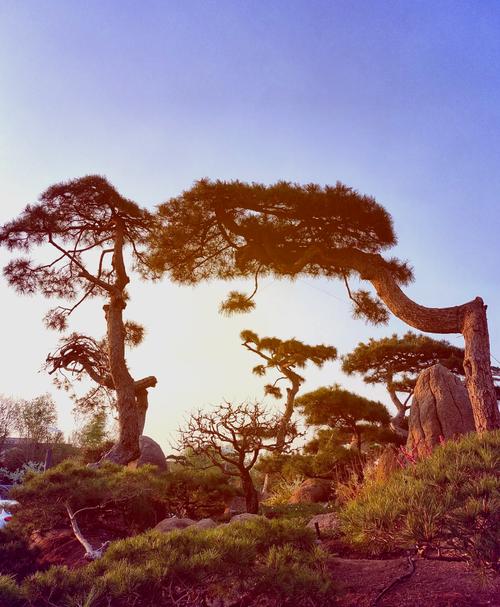 首都机场离哪个景点近