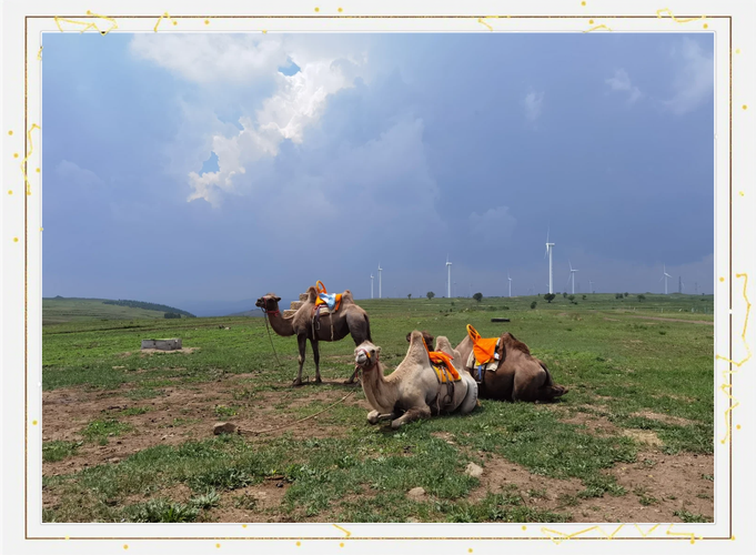 沧州到张北草原自驾游