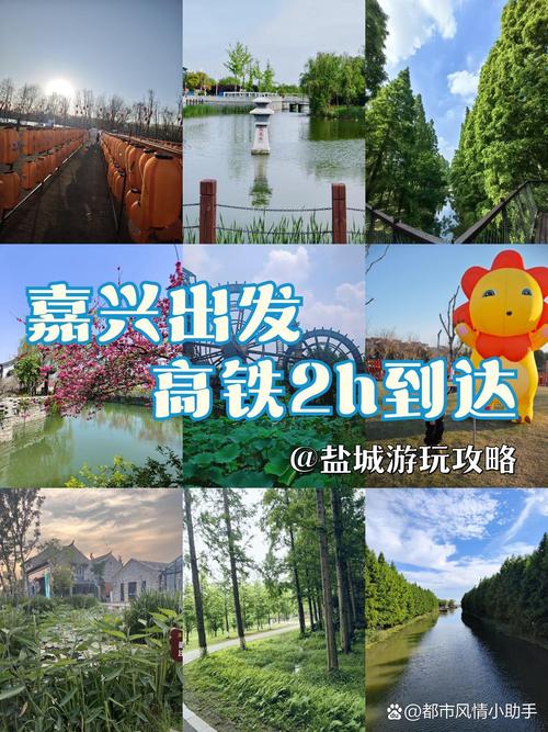 从盐城出发的的自驾游