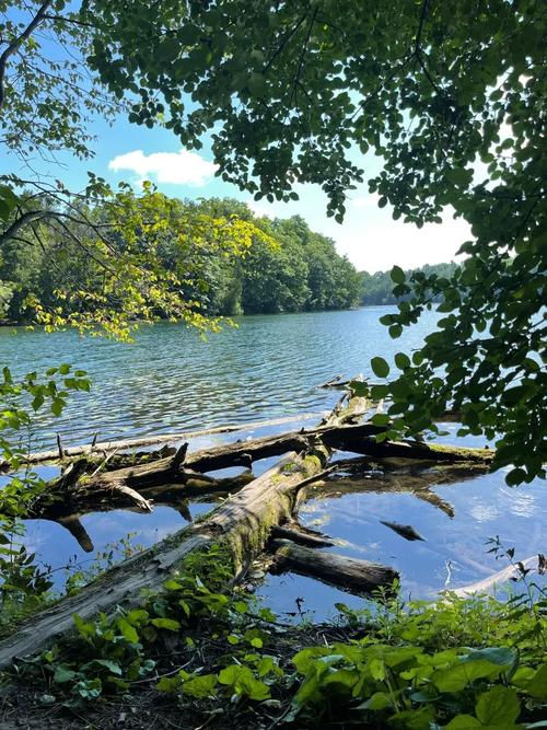 加拿大森林公园自驾游