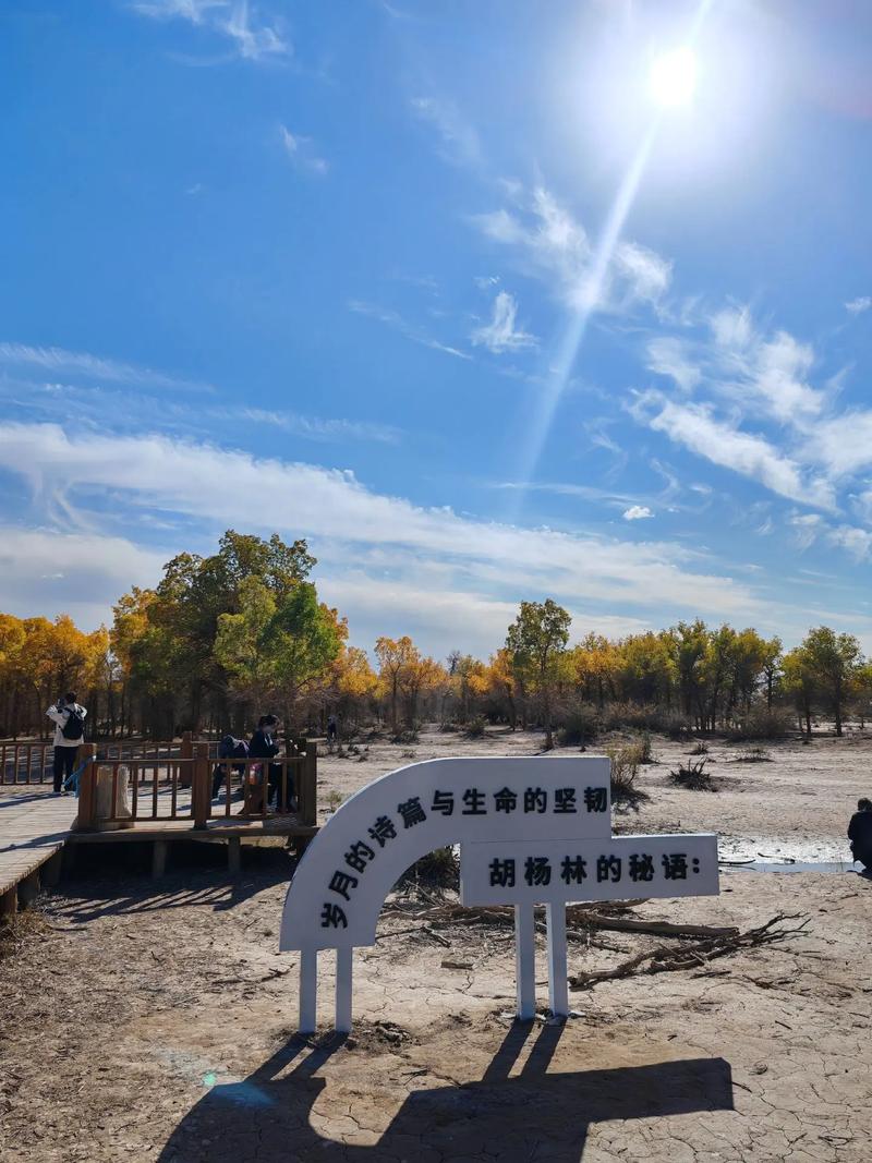 国庆重庆自驾游额济那