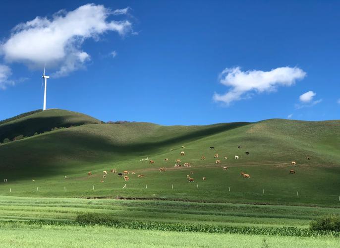 北京最近大草原自驾游