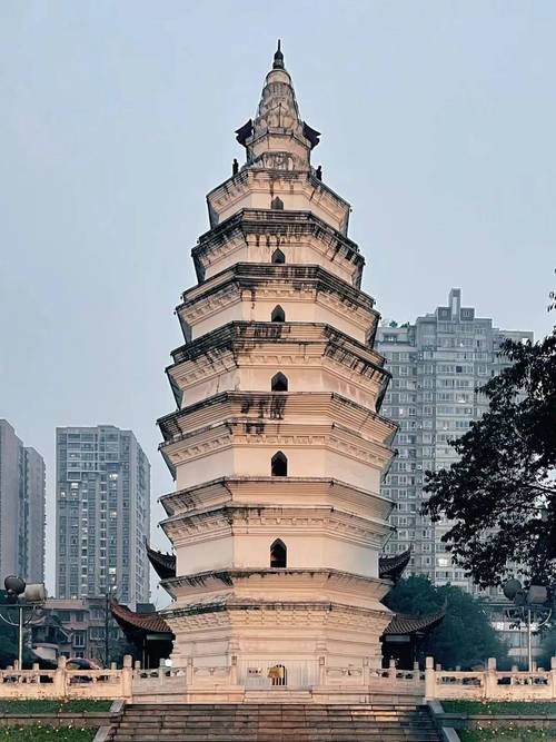 泸州有什么好玩的景点