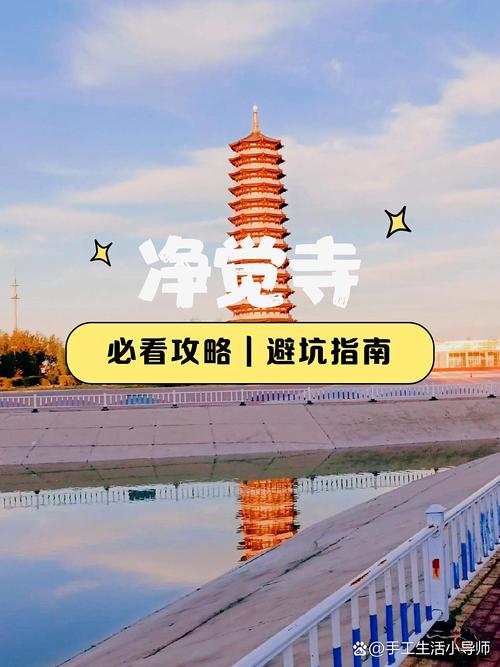 大庆一山东自驾游攻略