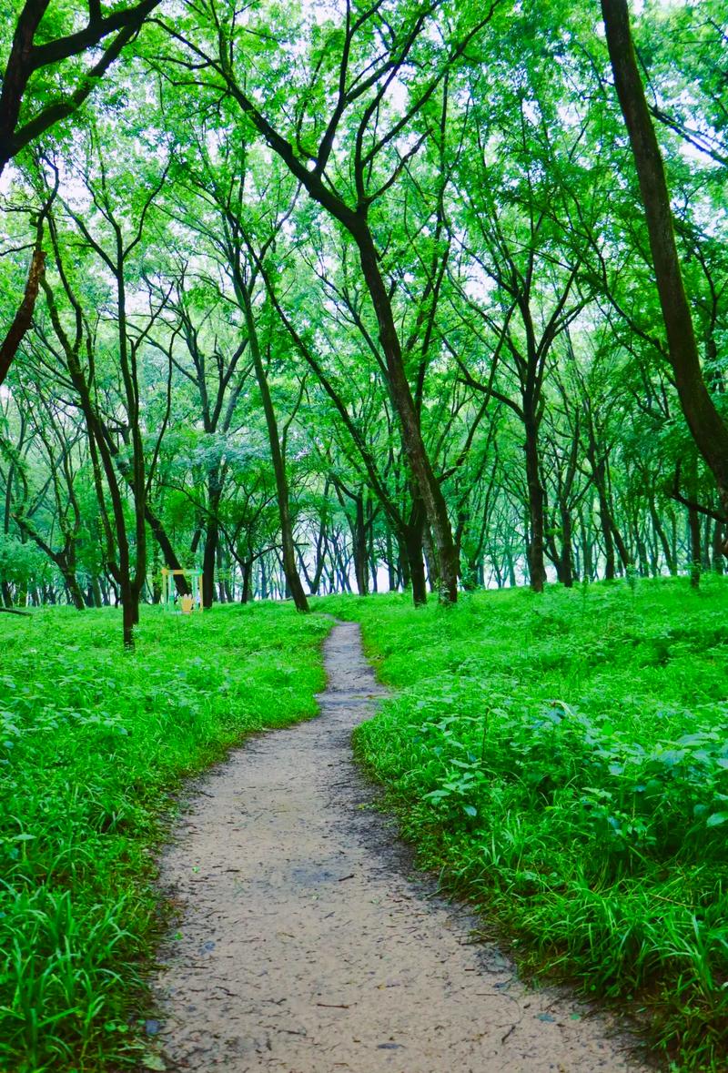 杭州富阳桐洲岛自驾游