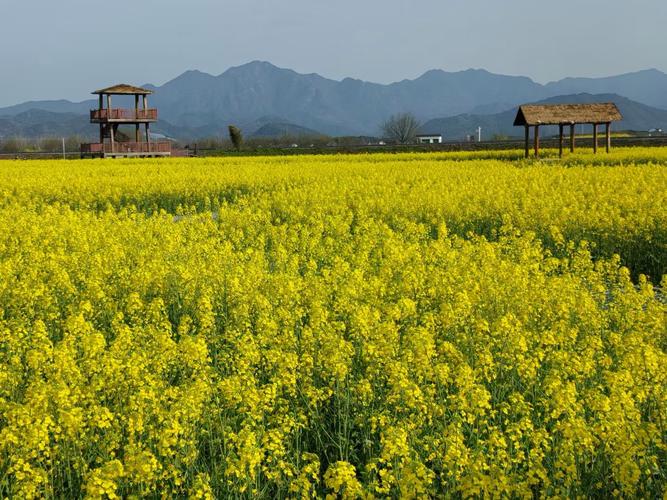 杭州富阳桐洲岛自驾游