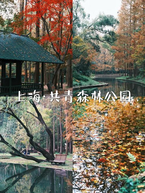 上海附近爬山景点推荐