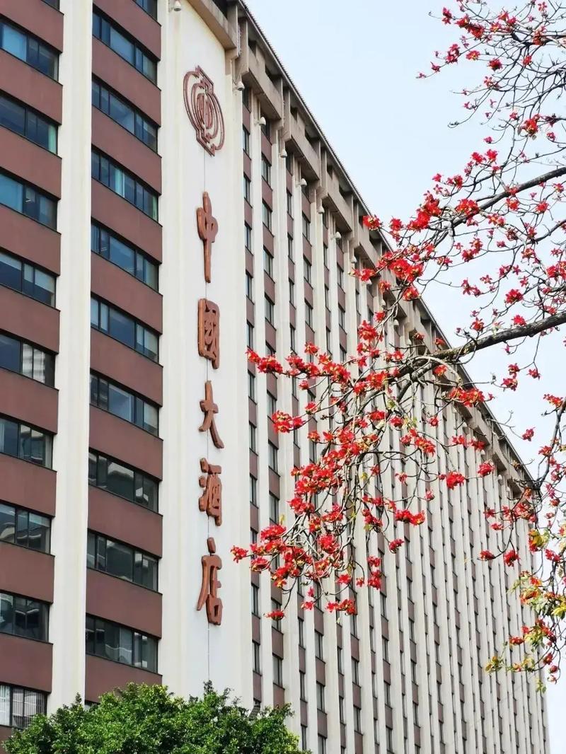 中国最好的连锁酒店