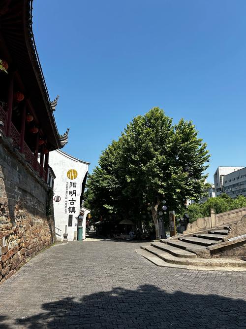 杭州余姚旅游景点大全