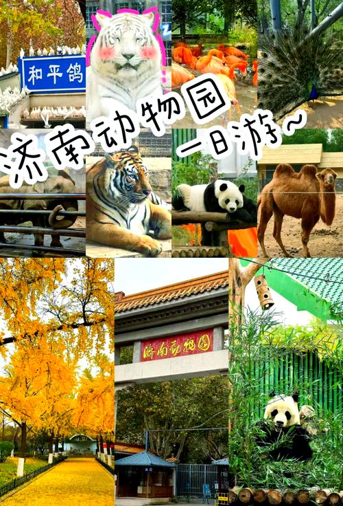 济南动物园自驾游攻略
