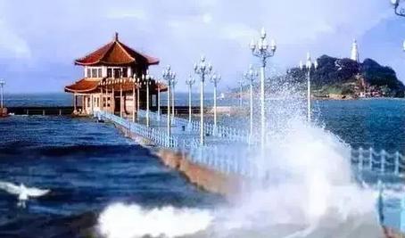 新乡到青岛日照自驾游