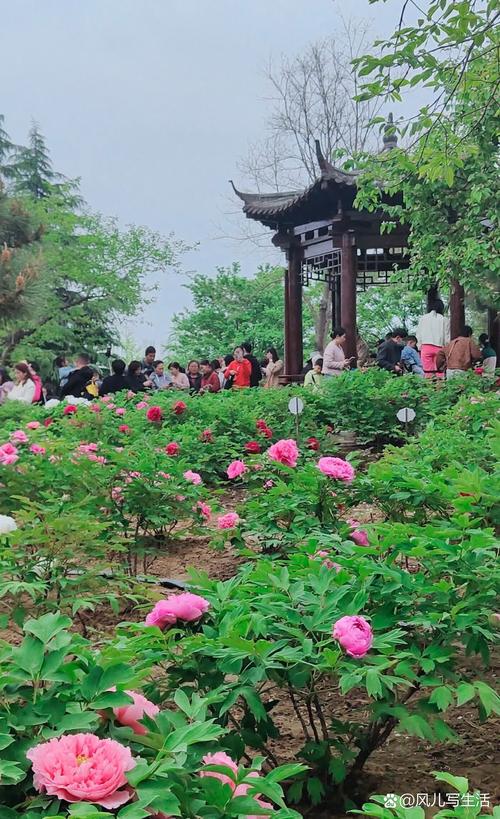 寿光附近自驾游一日游