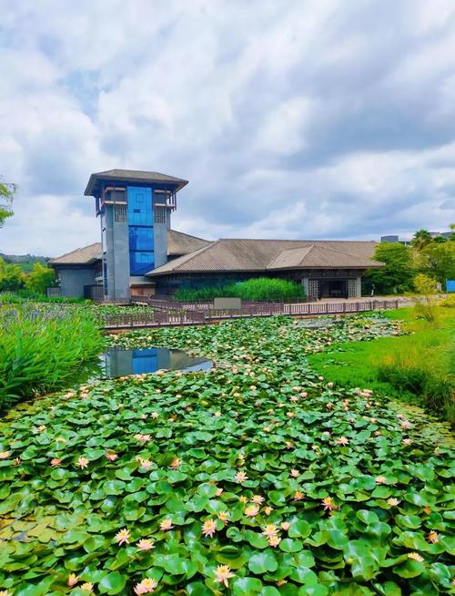 昆明南周边有哪些景点