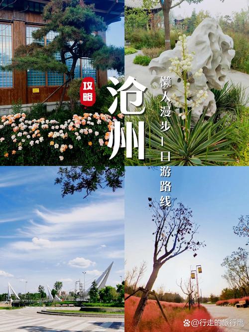 沧州附近自驾游一日游