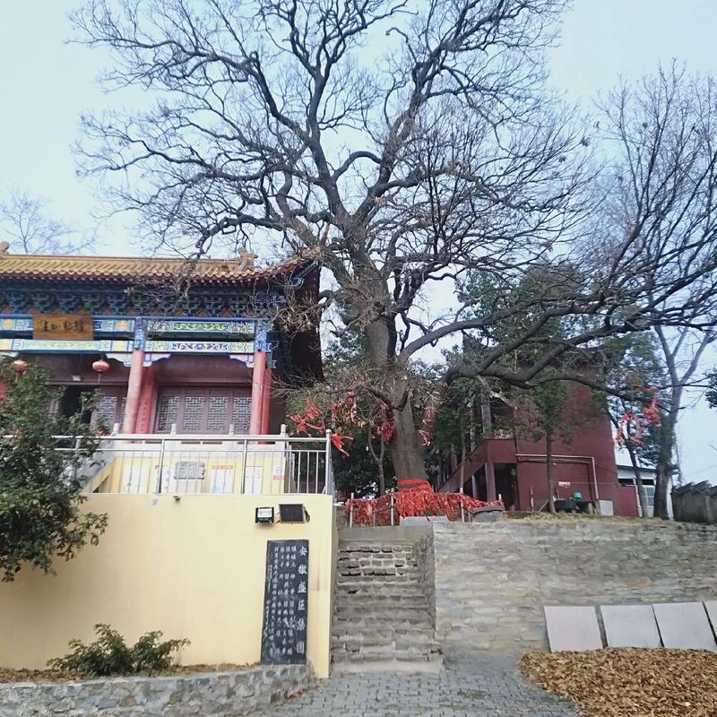 明光旅游景点大全排名