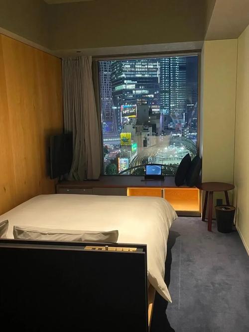 日本东京五星级酒店