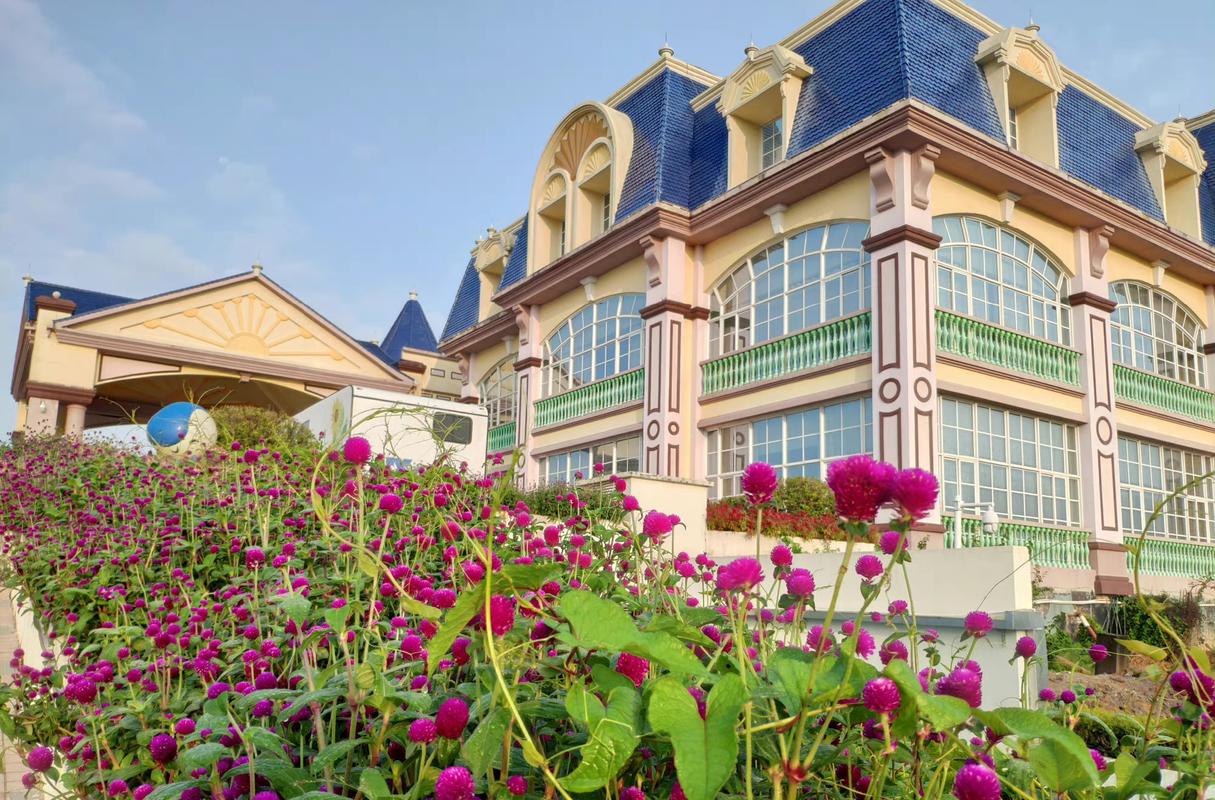 百万葵园花之恋酒店