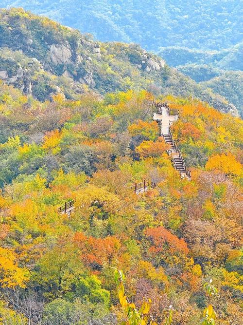 秋天北京自驾游一日游
