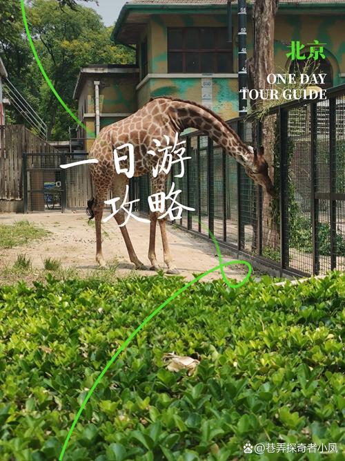 北京天津自驾游一日游