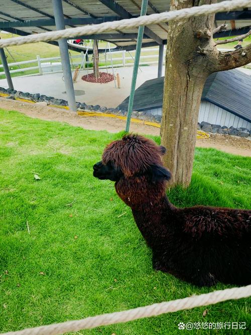 漳州双鱼岛有什么景点