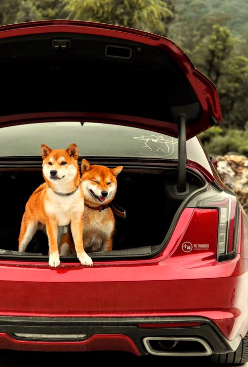 全国可以带狗狗的景点