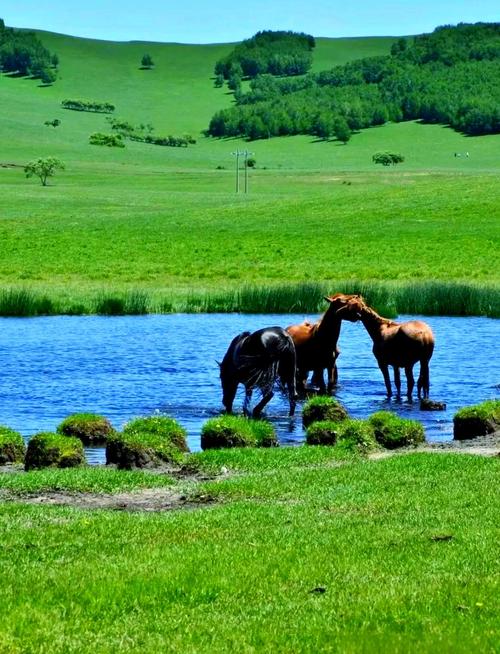 赤峰草原旅游景点大全