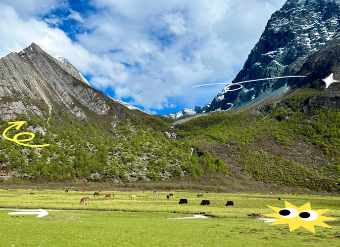 成都出发四日游自驾游