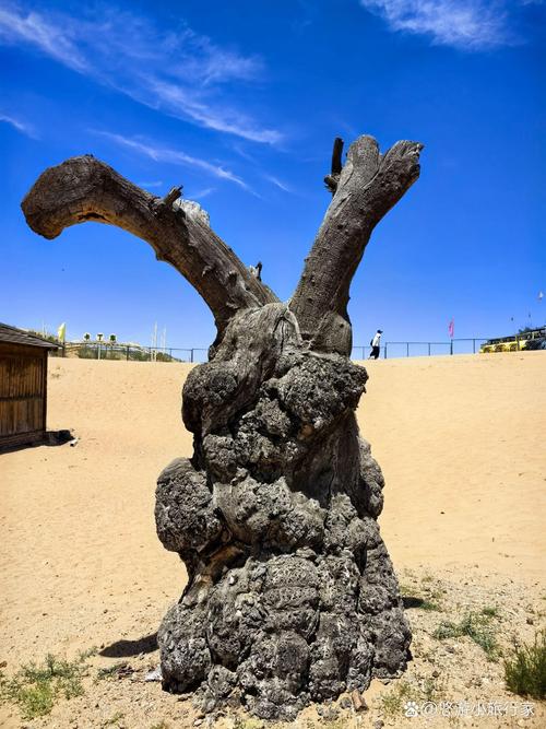 内蒙呼市旅游景点大全