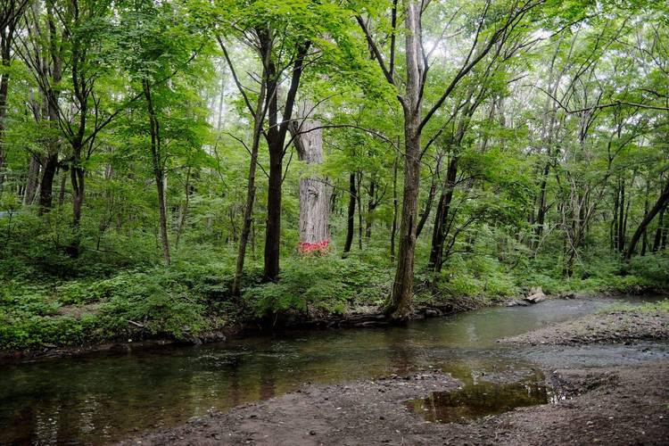 吉林夏季旅游景点大全