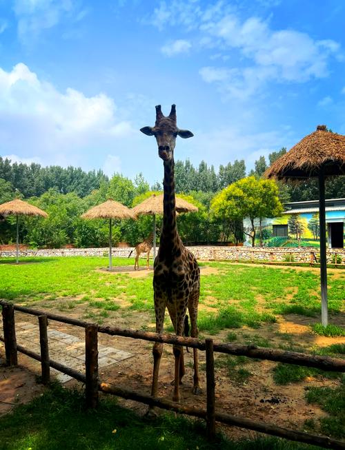 北京大兴游玩景点大全