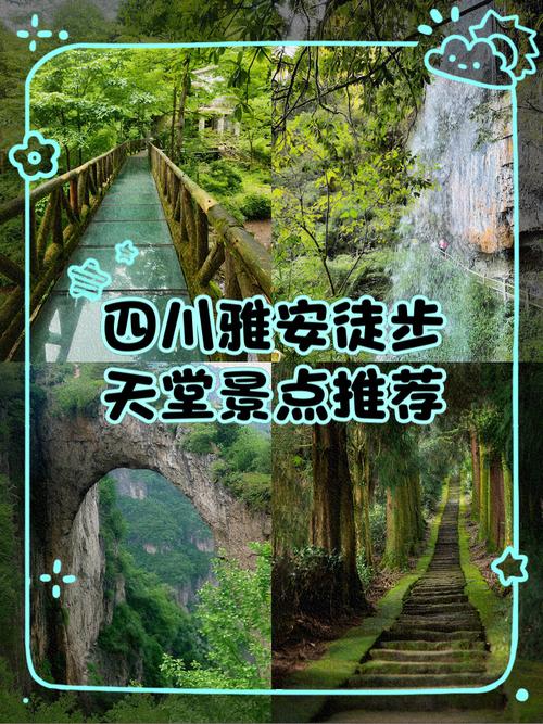 自贡到雅安自驾游攻略