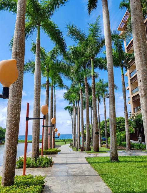 海南红树林度假酒店