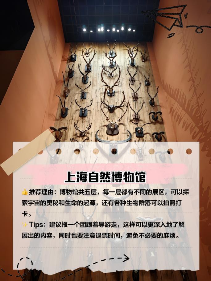 上海旅游室内景点推荐