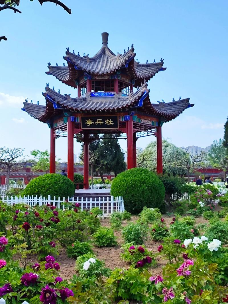 山东菏泽旅游景点攻略