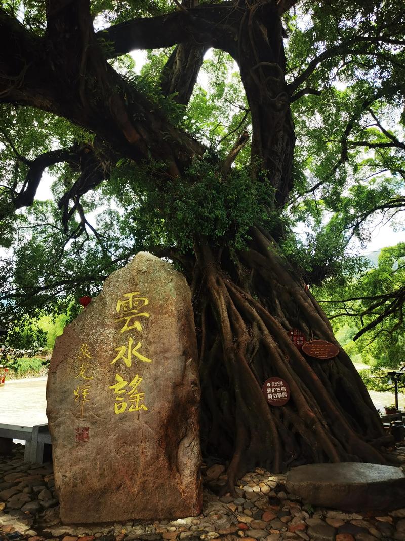南靖有什么好玩的景点