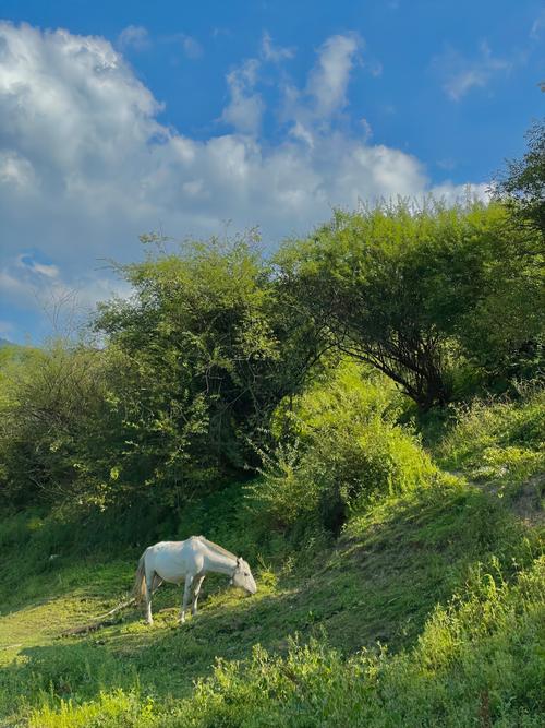 绵阳出发三日游自驾游