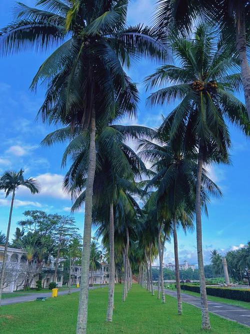 康乐园海航度假酒店