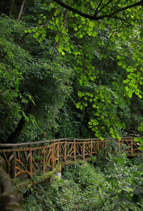 什邡旅游景点大全图片