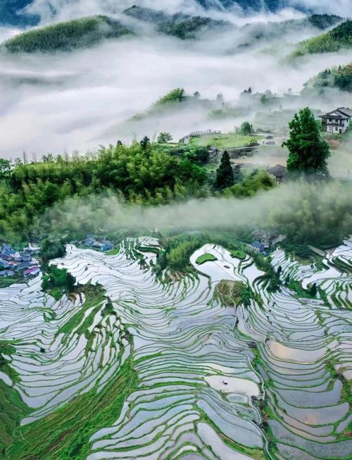 丽水有哪些好玩的景点