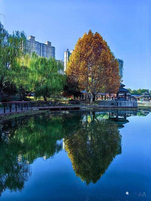 常德秋天旅游景点大全