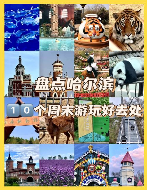 介绍哈尔滨的旅游景点