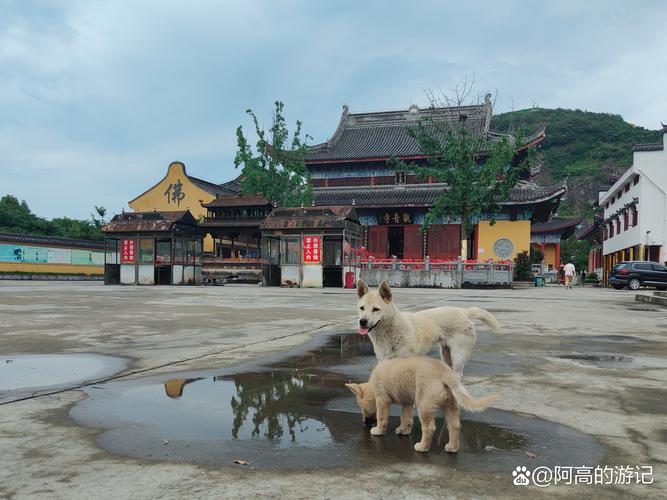 海宁周边自驾游哪里好