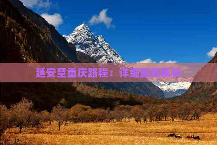 延安至重庆自驾游攻略