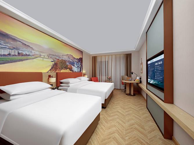 拉萨维也纳国际酒店