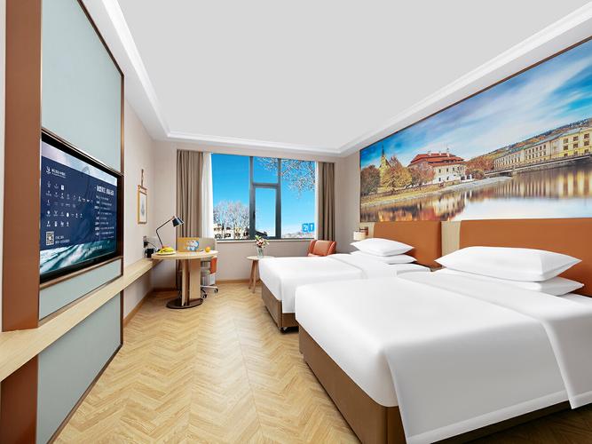 拉萨维也纳国际酒店